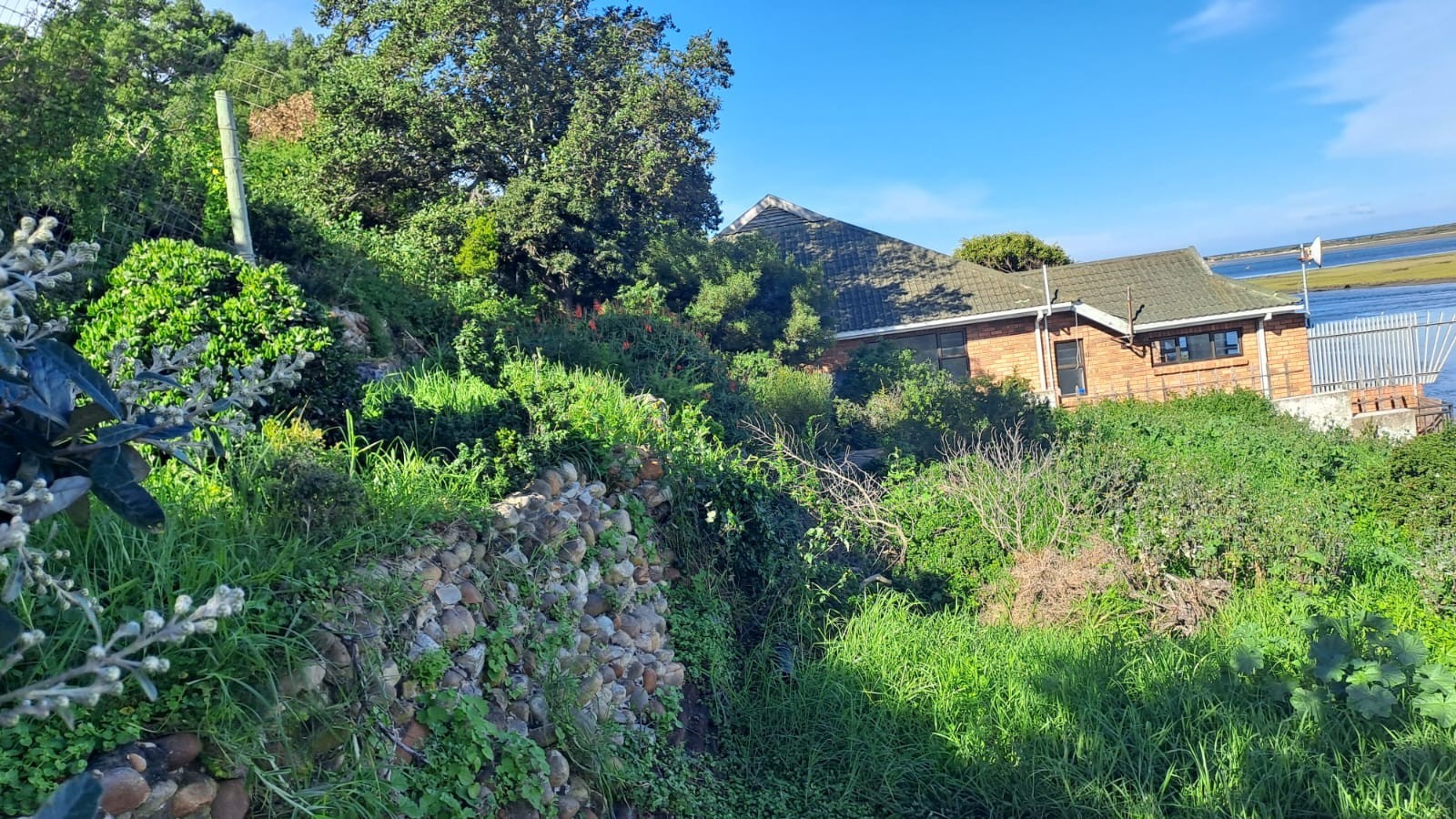 A Rare Riverside Sanctuary in Amsterdamhoek 5