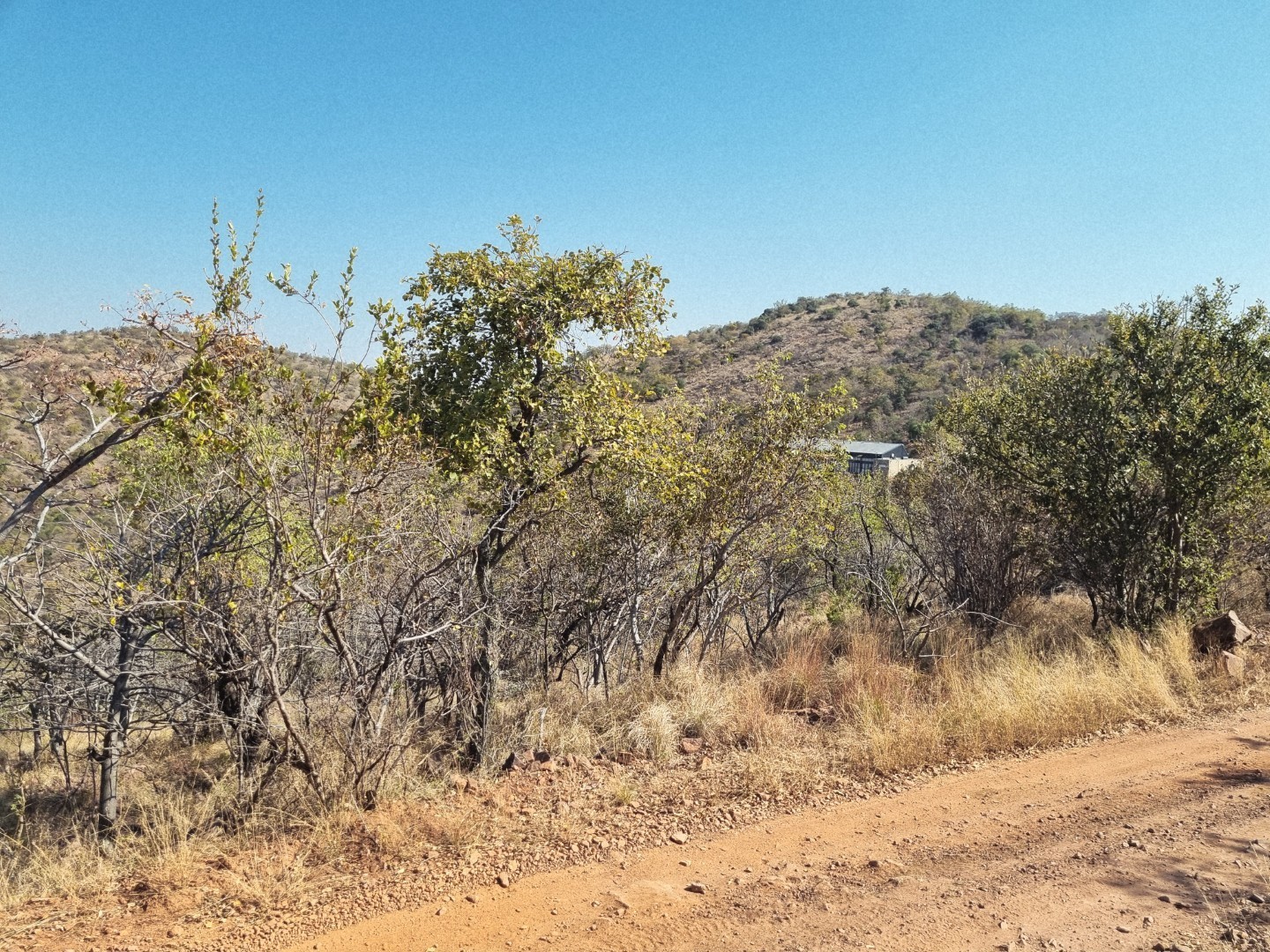 Vacant Land For Sale in Bela Bela Rural, Bela Bela 3