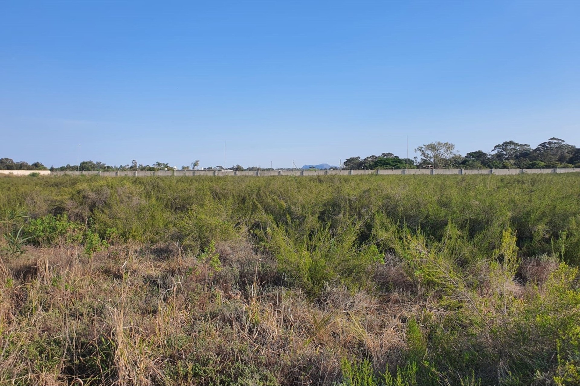 Vacant Land For Sale in Greenbushes, Port Elizabeth 3