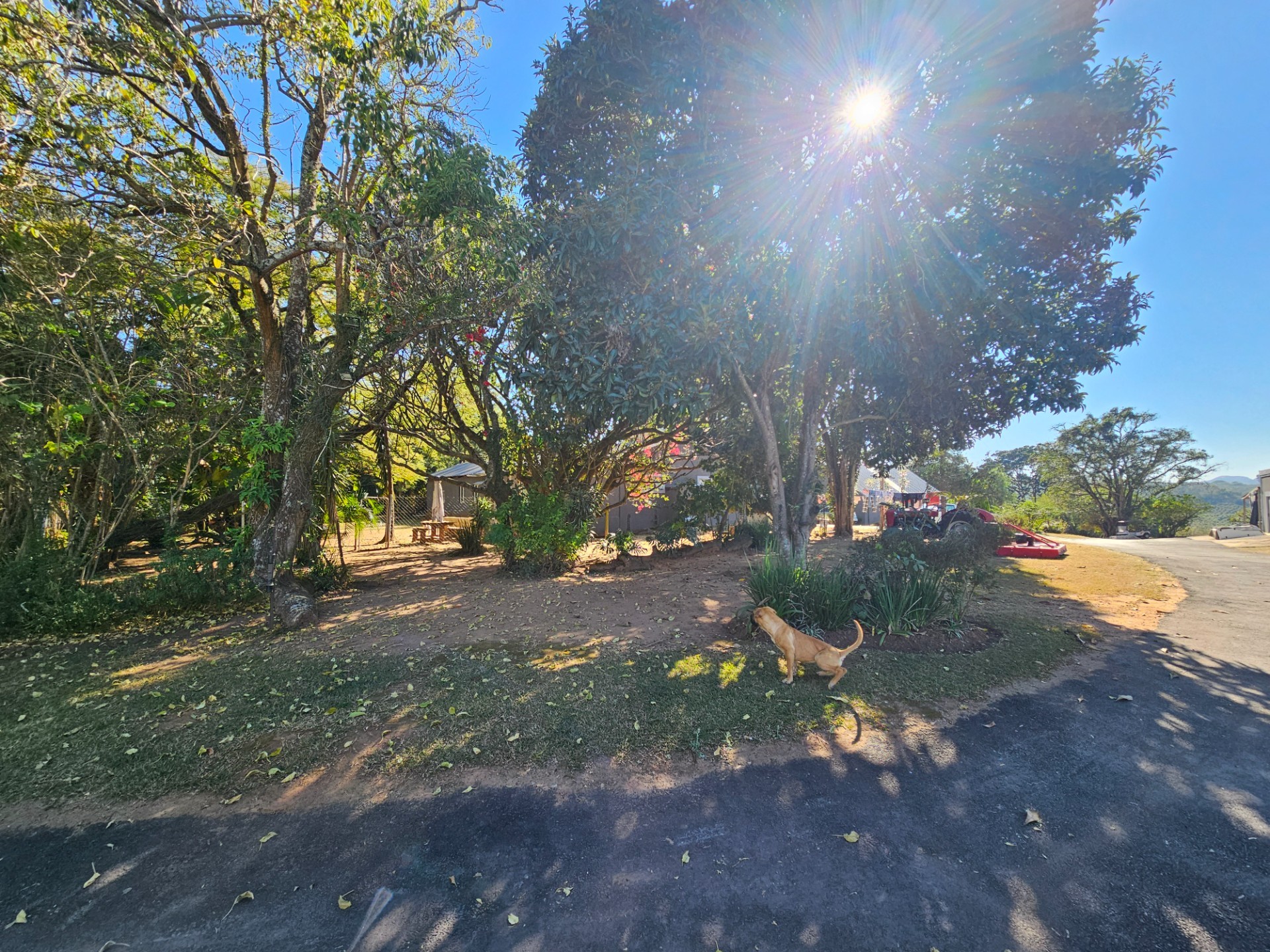 Small Holding For Sale in White River Estates, White River