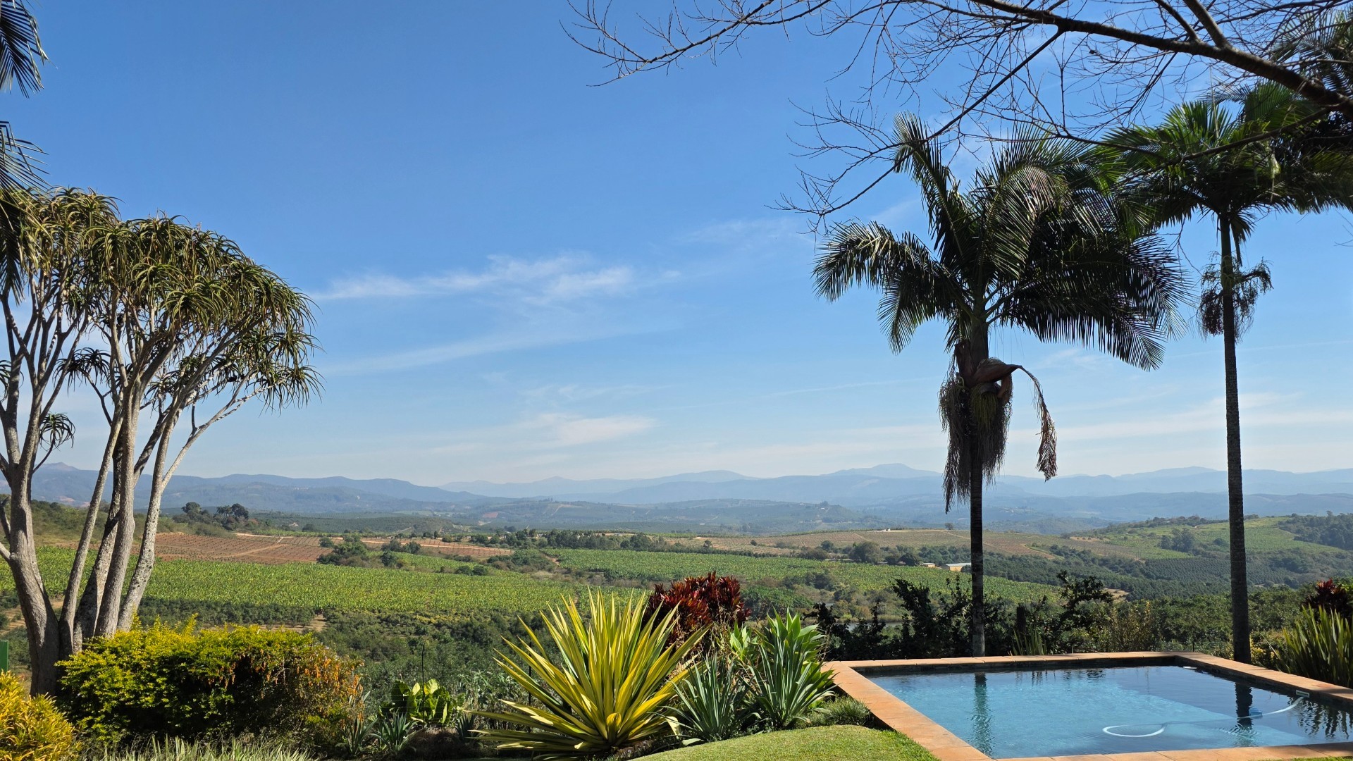 Established Avocado and Macadamia Farm in Kiepersol, Hazyview 2