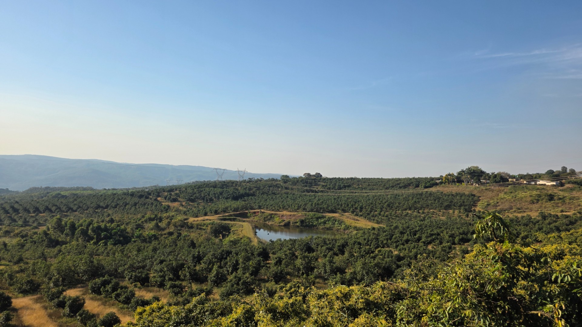 Established Avocado and Macadamia Farm in Kiepersol, Hazyview 5