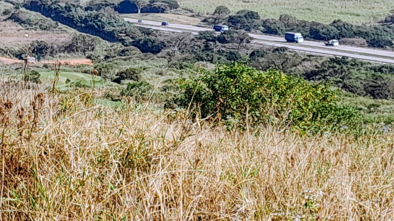 A Private Elevated Homesite with Sweeping Golf Course Views for sale | Zimbali Lakes Resort 5