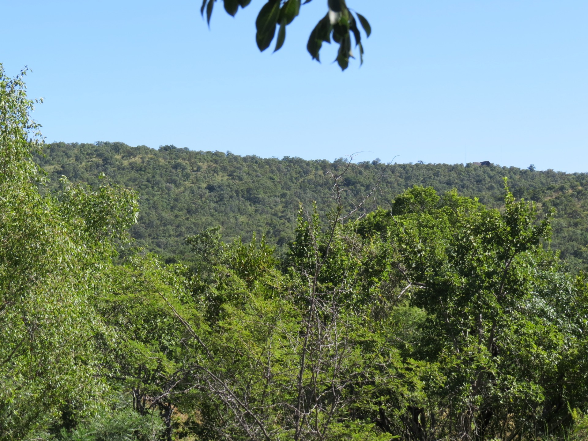 Vacant Land for sale in Zwartkloof Private Game Reserve, Bela Bela, 2500 m²