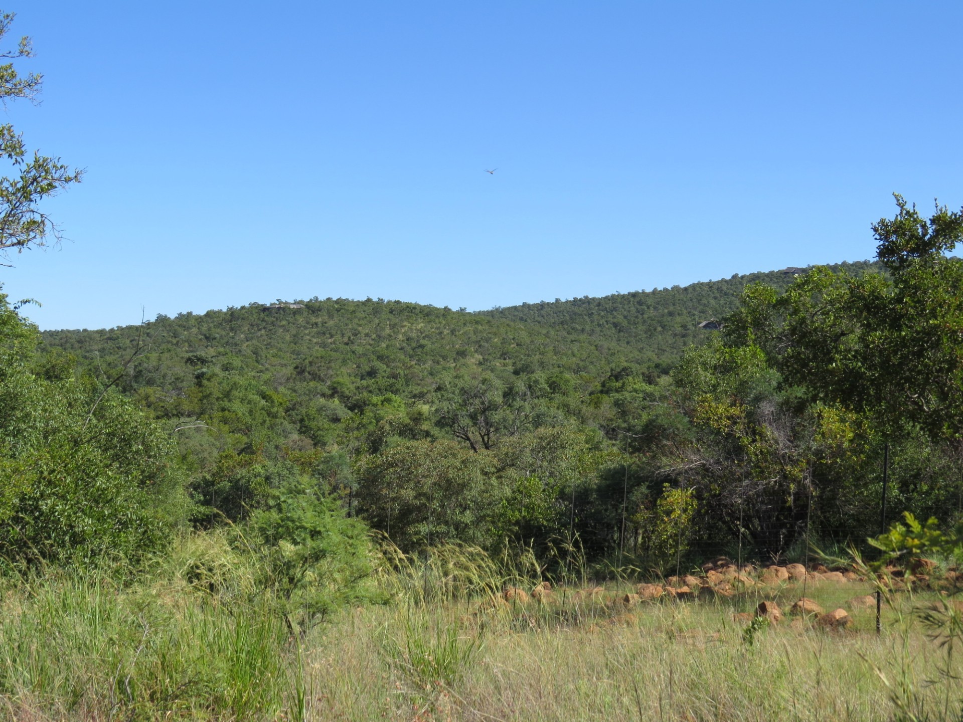 Vacant Land for sale in Zwartkloof Private Game Reserve, Bela Bela, 2500 m²