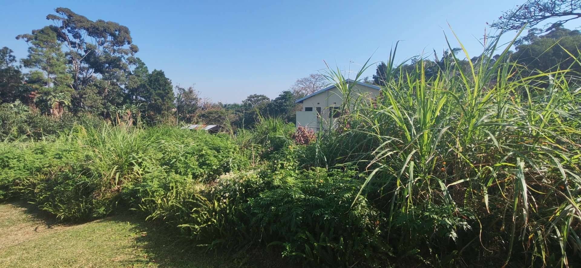 Vacant Land for sale in Leisure Bay, Port Edward, KwaZulu Natal, 1056 m²