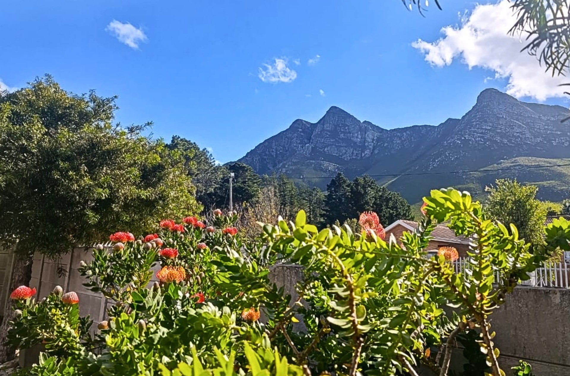 Peaceful Surroundings, Gorgeous Mountain Backdrop, Corner Stand, Coastal Residence