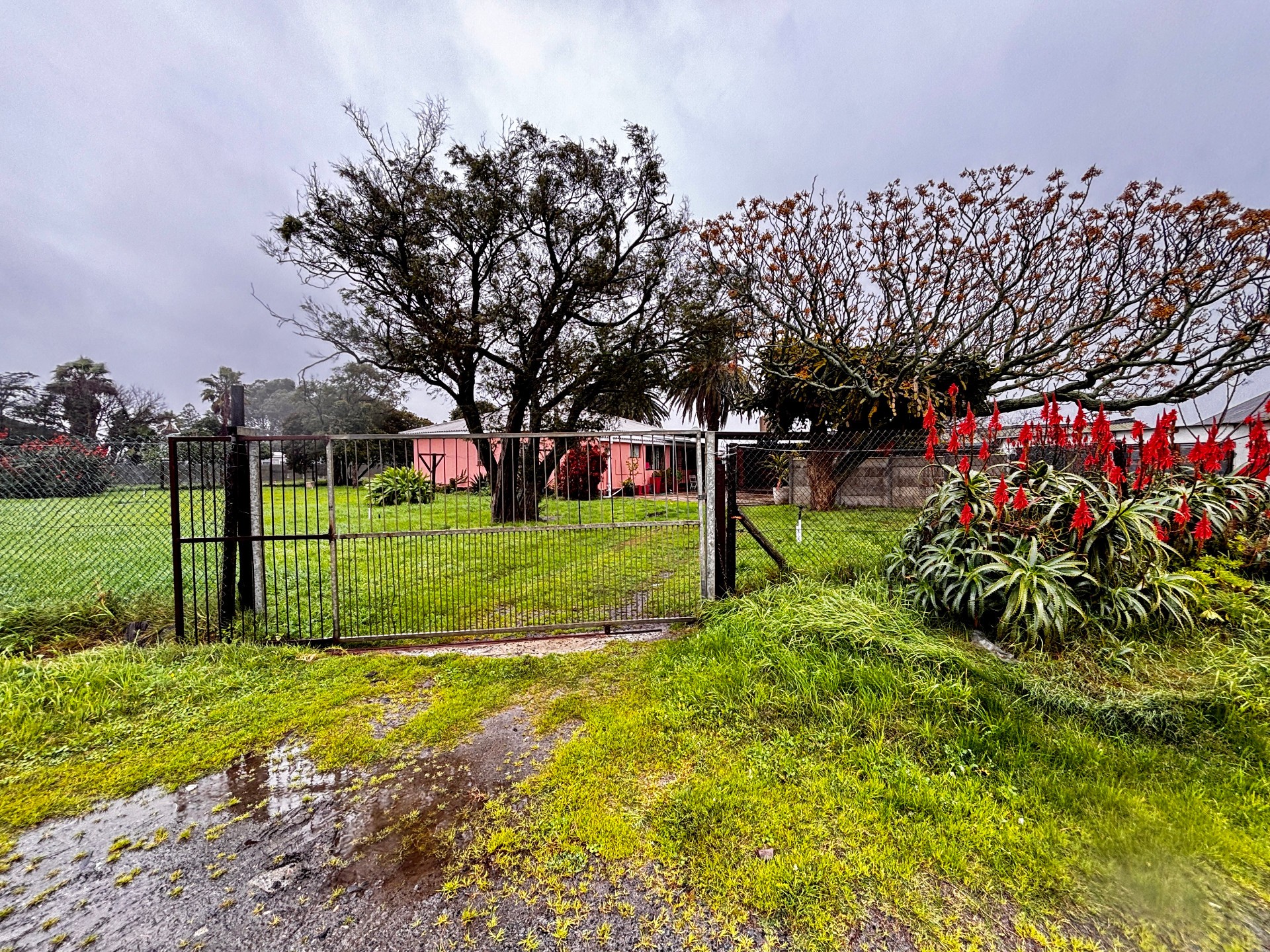 Exceptional 1.2848 Hectare Lifestyle, Agricultural and Investment Opportunity - Philippi, Cape Town