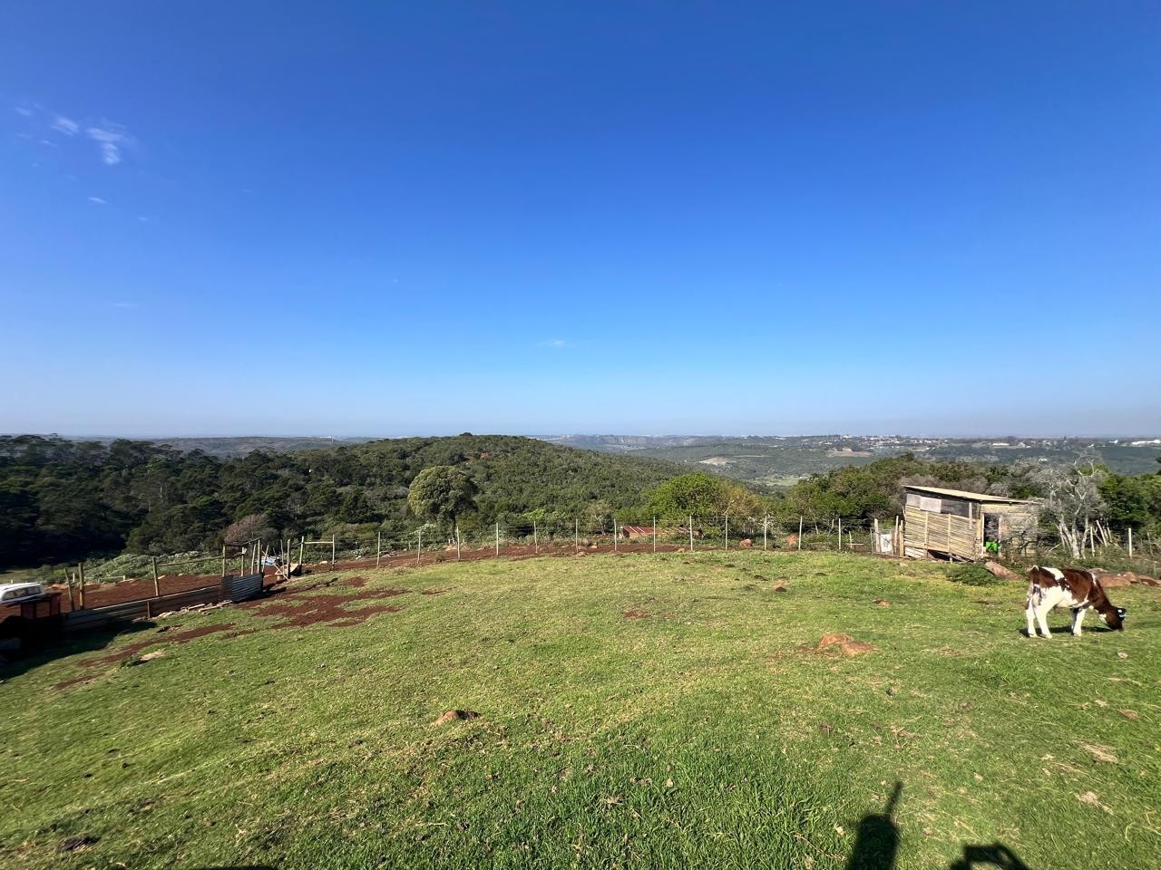 Farm For Sale in Summer Pride North, East London