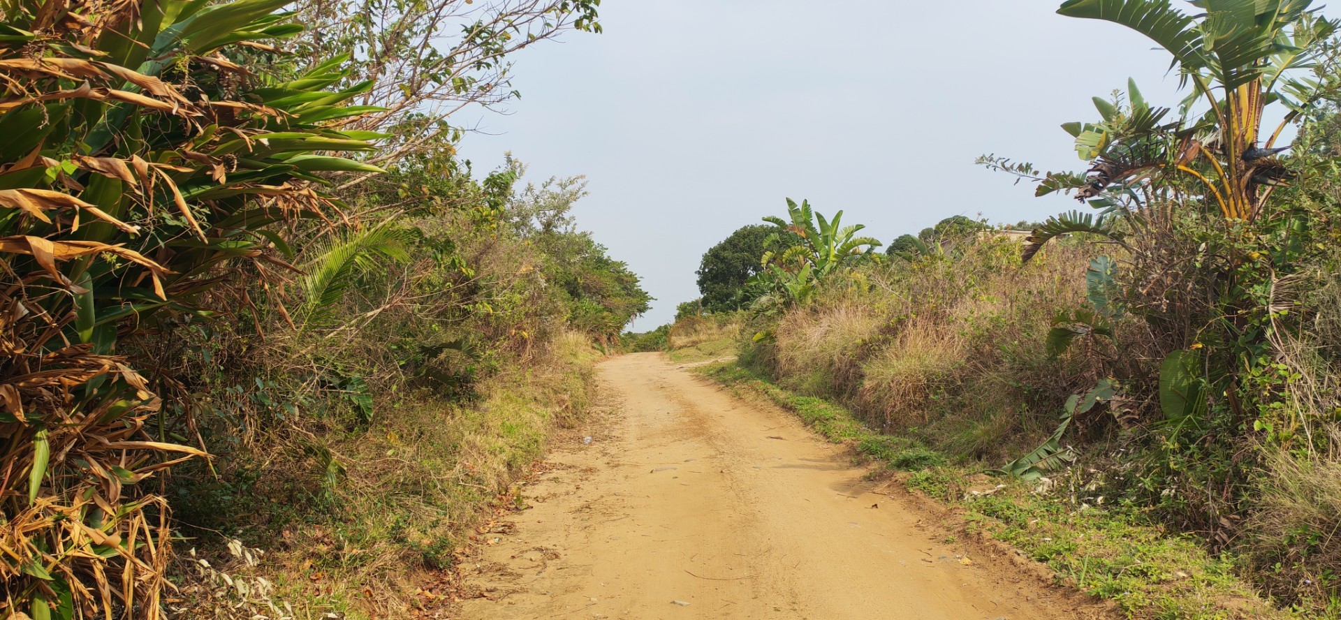 Coastal Vacant Land For Sale in Palm Beach, Port Edward, KwaZulu Natal