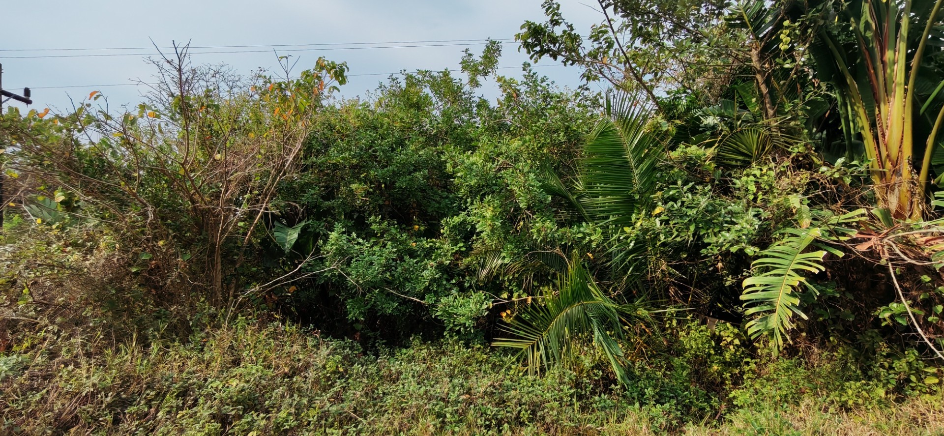 Coastal Vacant Land For Sale in Palm Beach, Port Edward, KwaZulu Natal