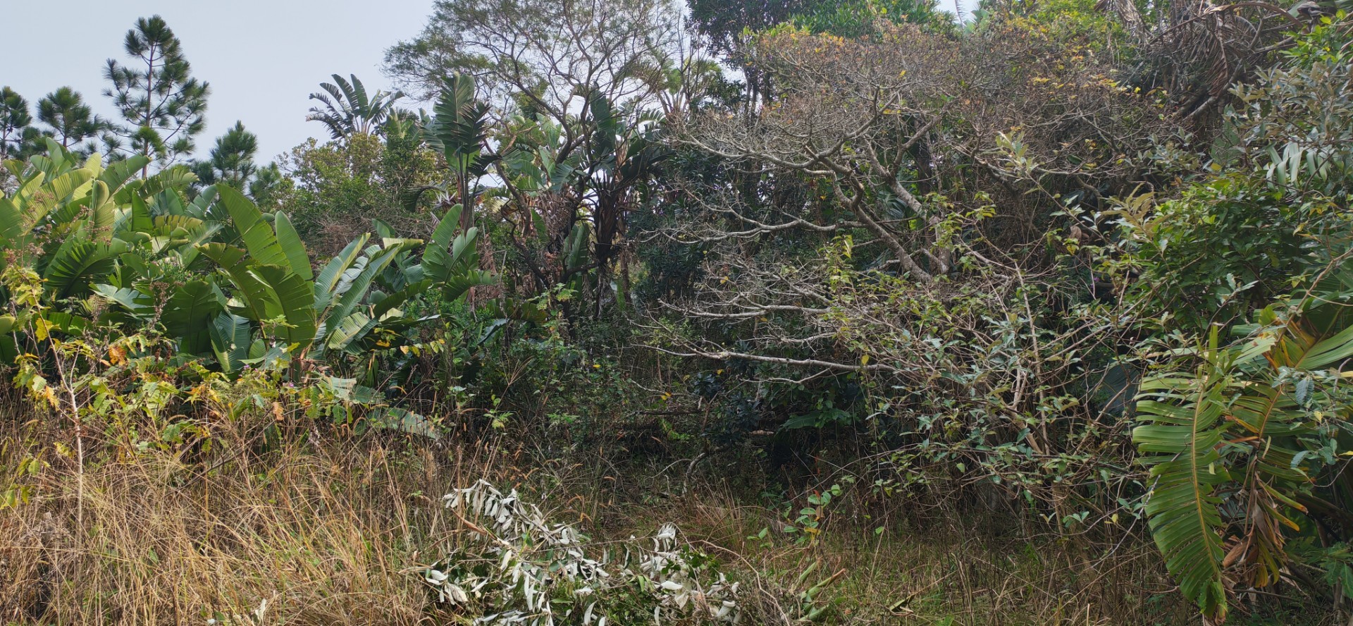 Coastal Vacant Land For Sale in Palm Beach, Port Edward, KwaZulu Natal