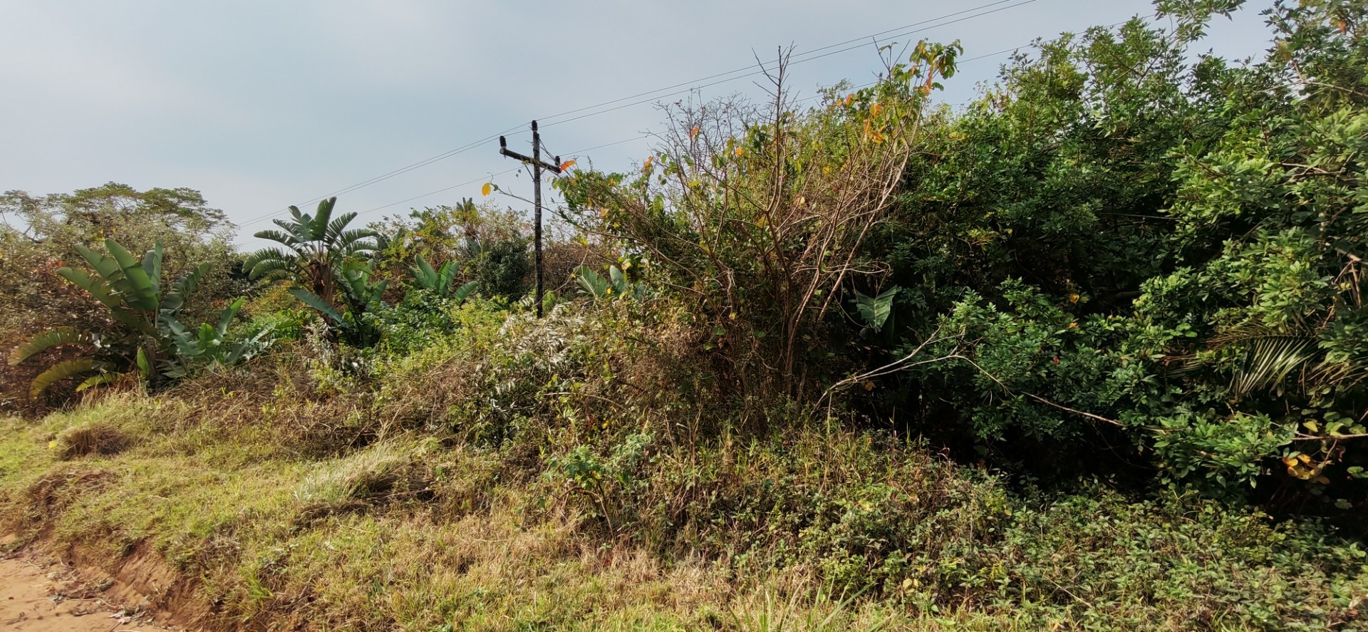 Coastal Vacant Land For Sale in Palm Beach, Port Edward, KwaZulu Natal