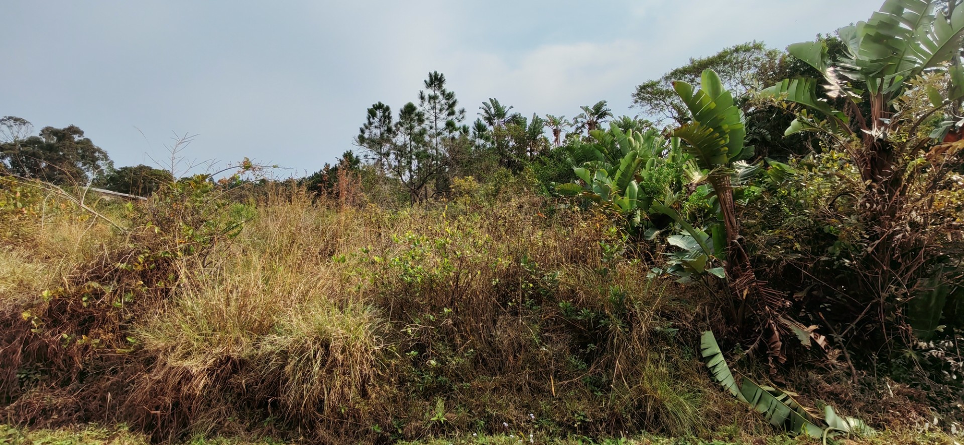 Coastal Vacant Land For Sale in Palm Beach, Port Edward, KwaZulu Natal