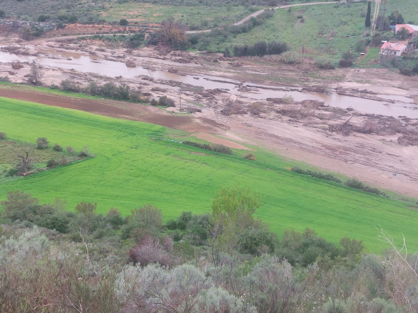 Farm For Sale in George