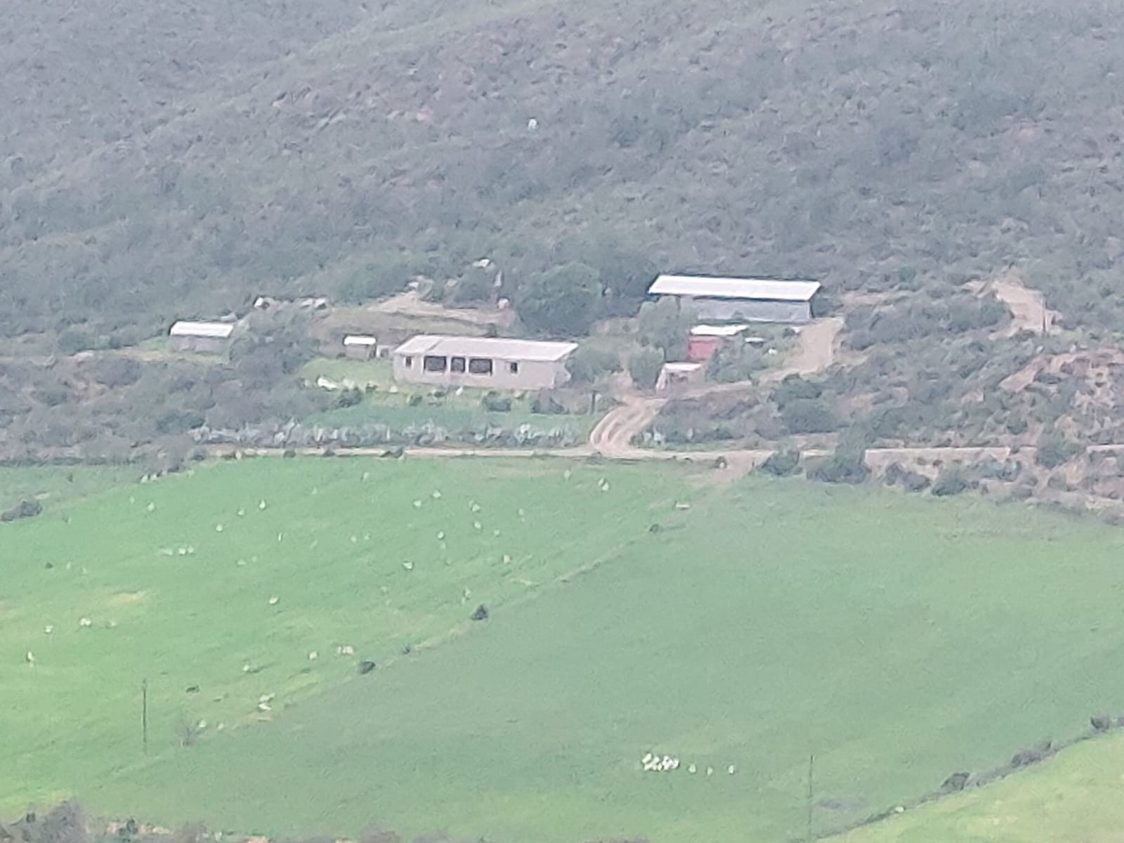Farm For Sale in George