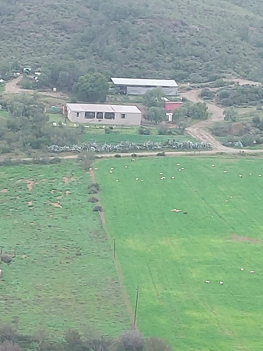 Farm For Sale in George