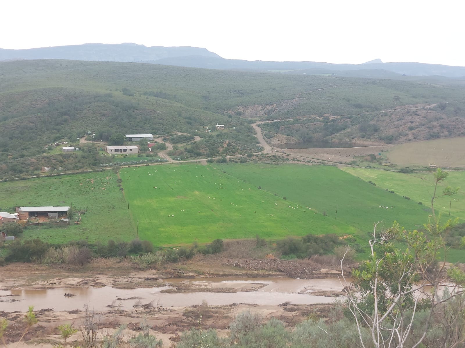 Farm For Sale in George