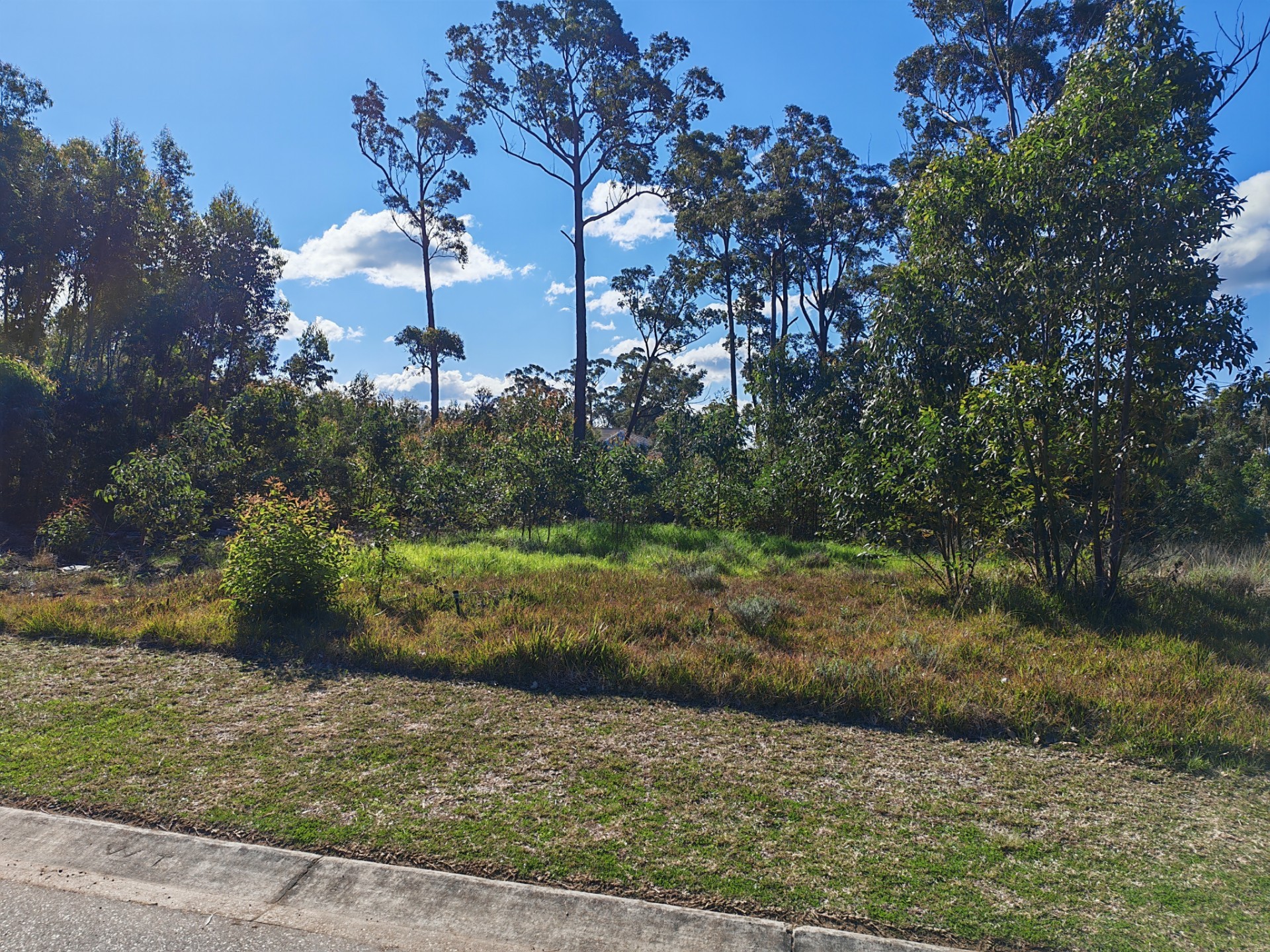 Build Your Dream Home in Wedgewood Golf Estate