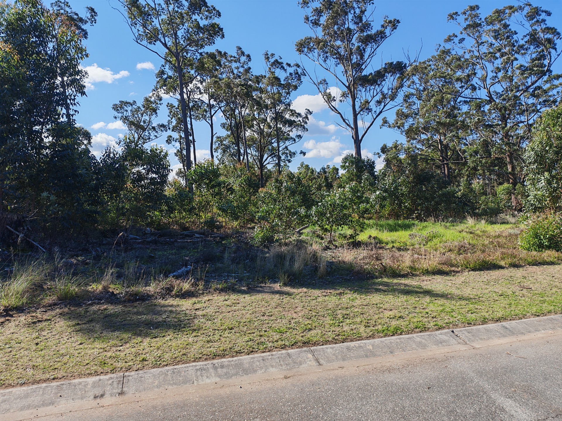 Build Your Dream Home in Wedgewood Golf Estate