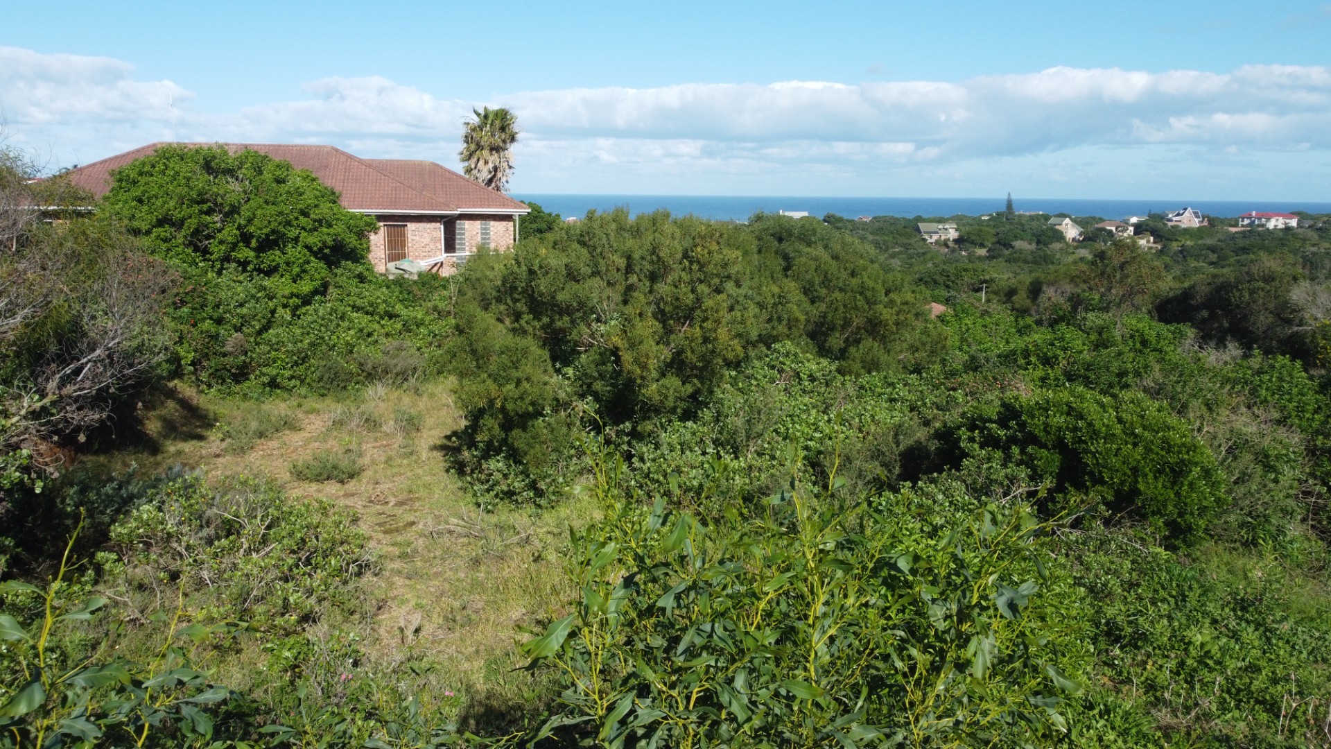 Prime Elevated Coastal Stand with Ocean Views