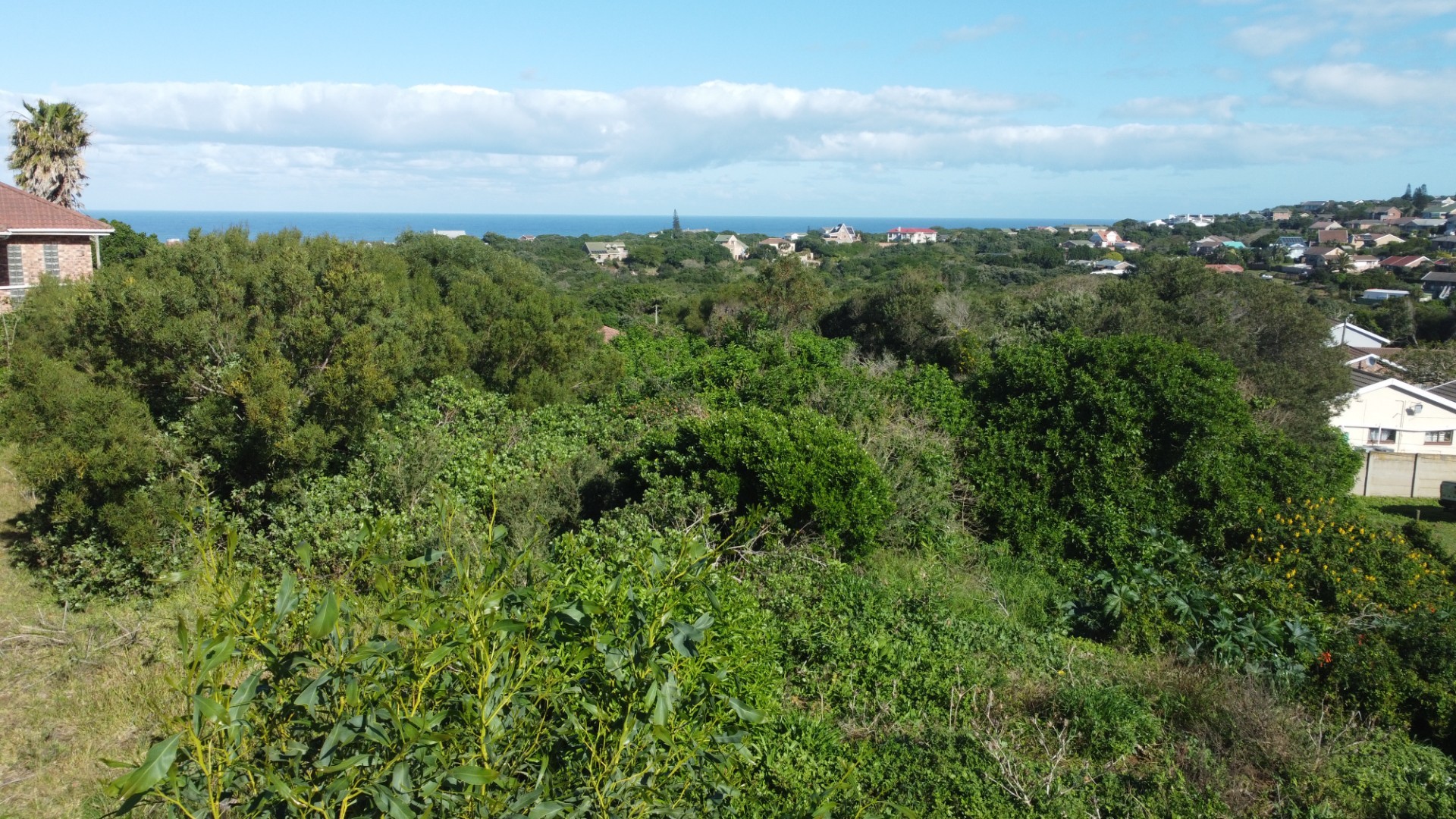 Prime Elevated Coastal Stand with Ocean Views