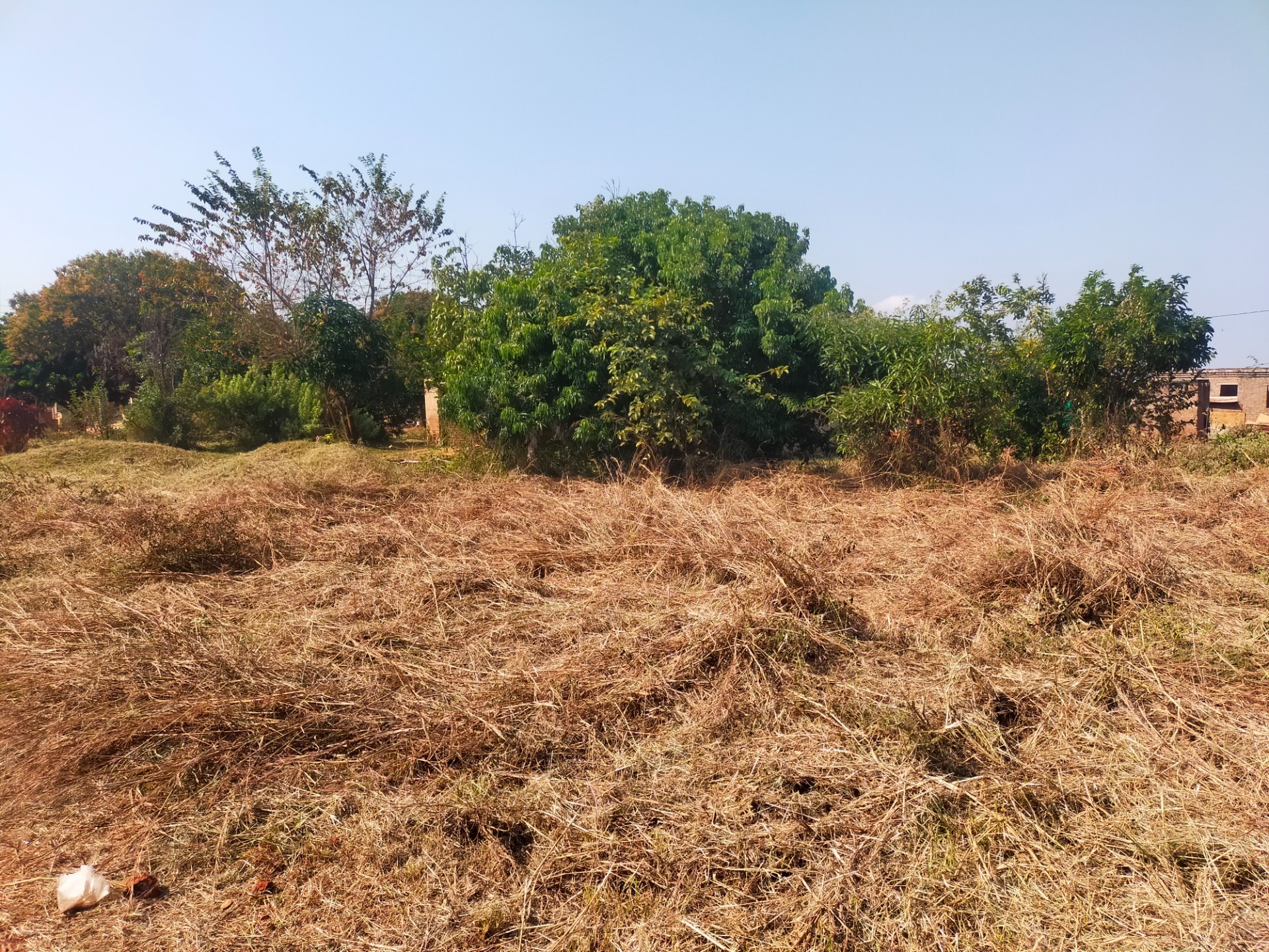 Vacant Land For Sale in Maungani, Thohoyandou