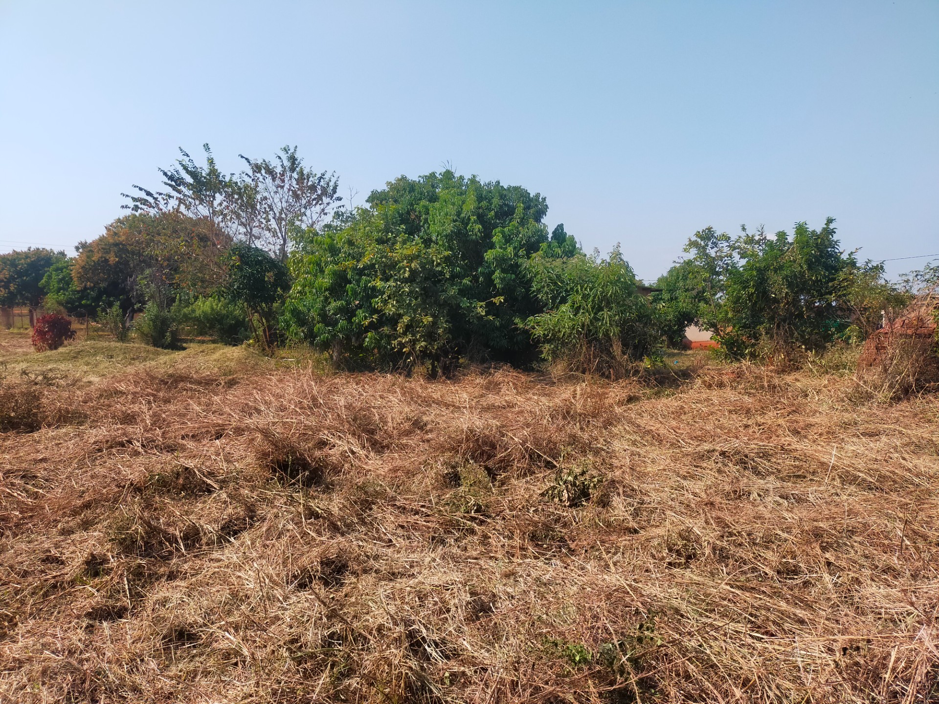 Vacant Land For Sale in Maungani, Thohoyandou