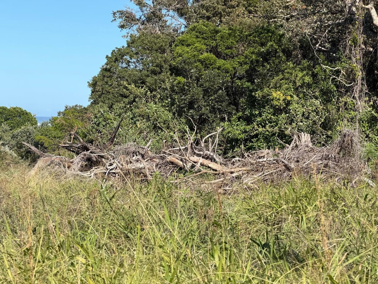 Prime Corner Stand in Sought-After Bonza Views, Quinera