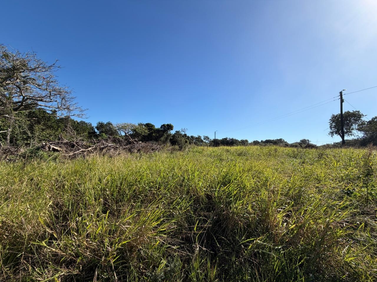 Prime Corner Stand in Sought-After Bonza Views, Quinera