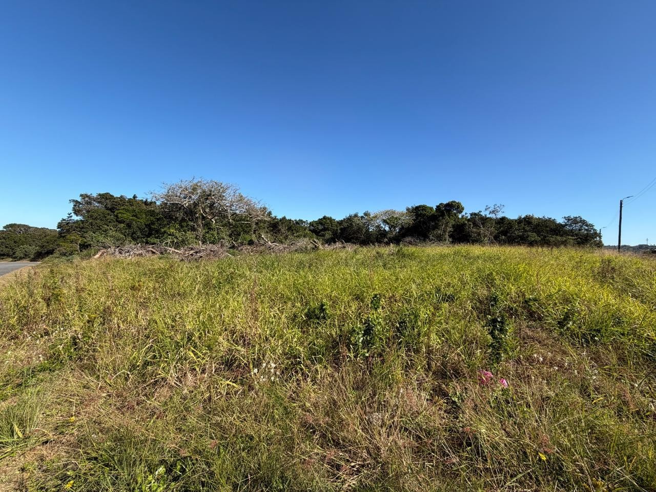Prime Corner Stand in Sought-After Bonza Views, Quinera