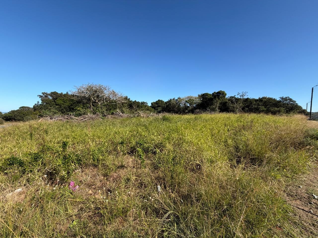 Prime Corner Stand in Sought-After Bonza Views, Quinera