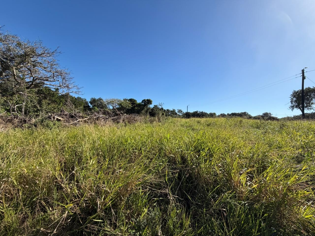 Prime Corner Stand in Sought-After Bonza Views, Quinera