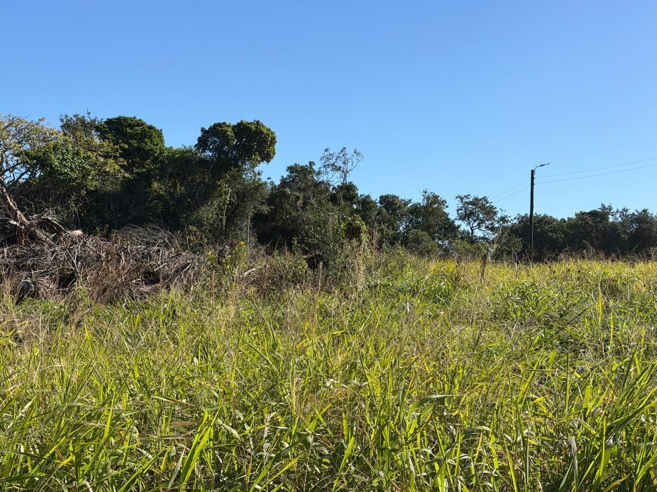 Prime Corner Stand in Sought-After Bonza Views, Quinera