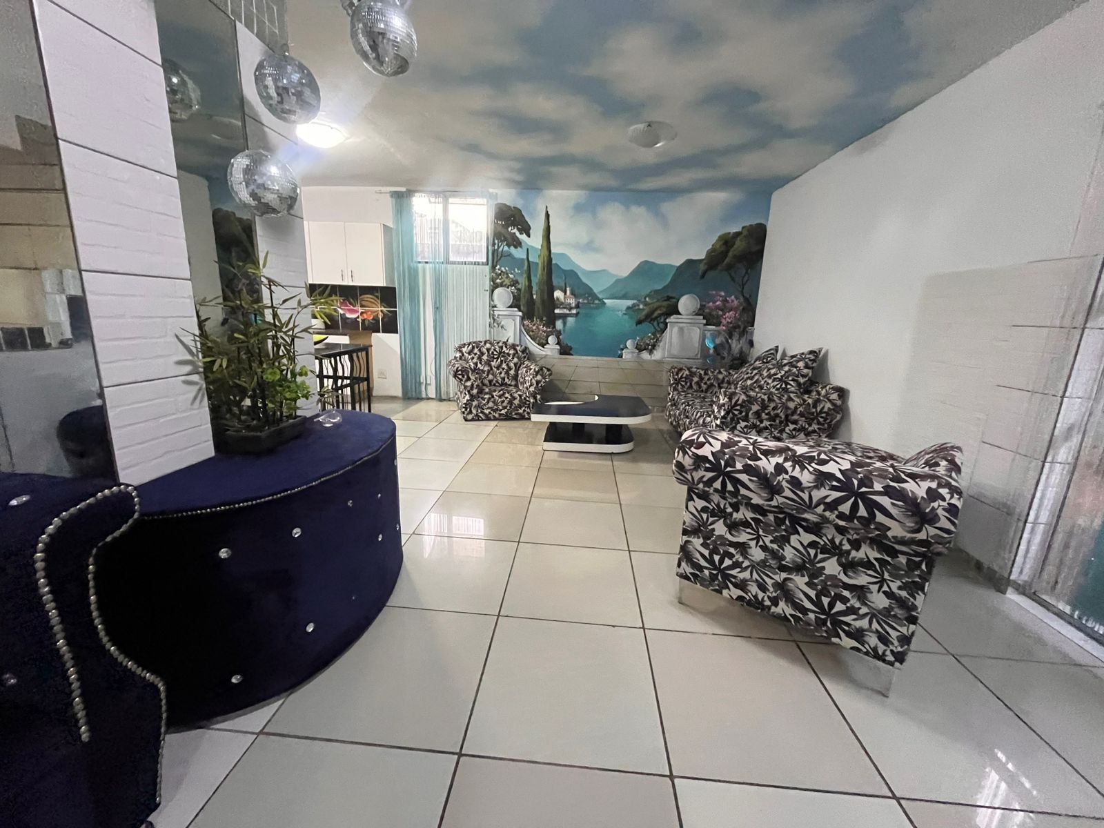 Bed And  Breakfast For Sale in Bedfordview