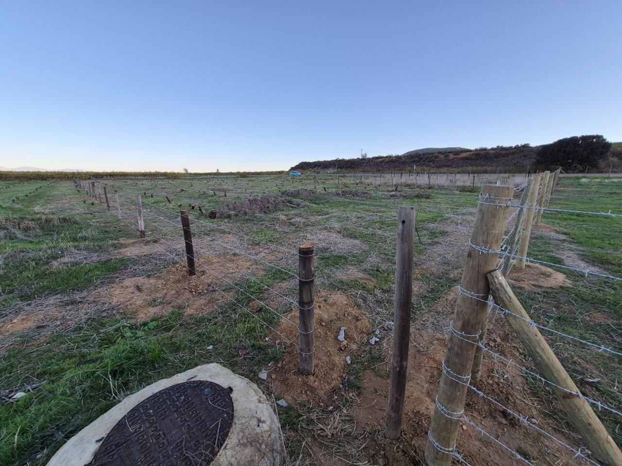 Small Holding for sale in Riebeek Kasteel, Riebeek Valley, Hermon Street, Riebeek Kasteel, Riebeek Valley, Western Cape, 2945 m²
