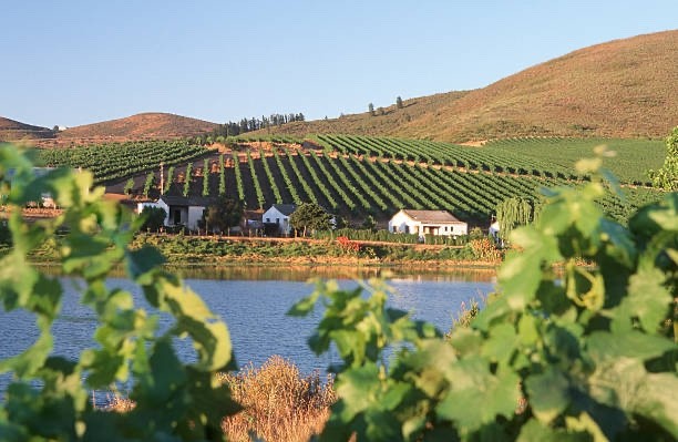 STUNNING STAND IN ICONIC RIEBEECK KASTEEL WITH SURROUNDING MOUNTAINOUS VIEWS AND UNLIMITED FRESH AIR
