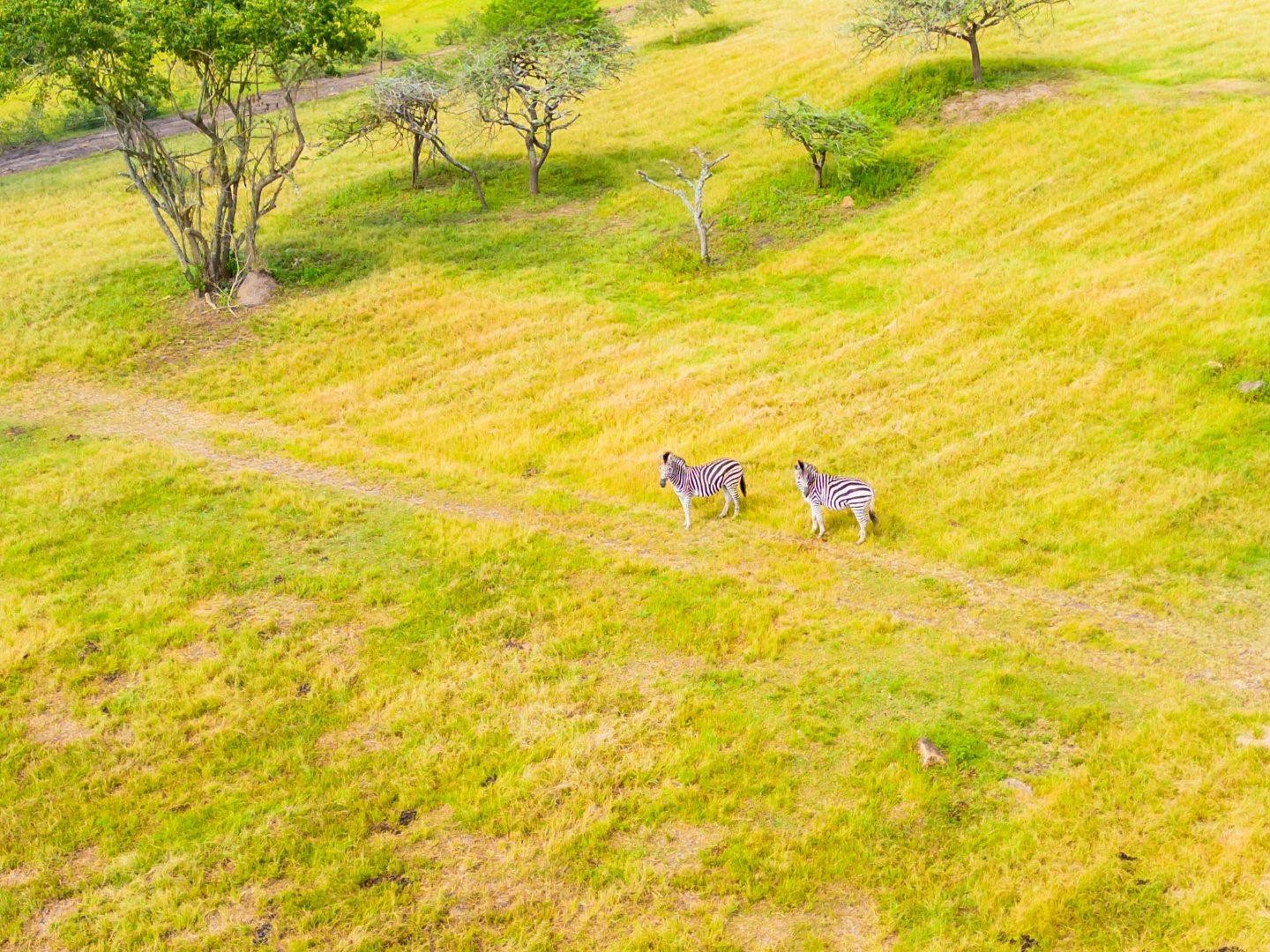 Farm For Sale in Umlass Road Camperdown, KwaZulu Natal