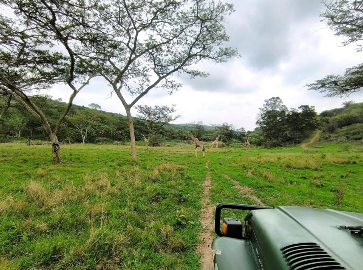 Farm For Sale in Umlass Road Camperdown, KwaZulu Natal