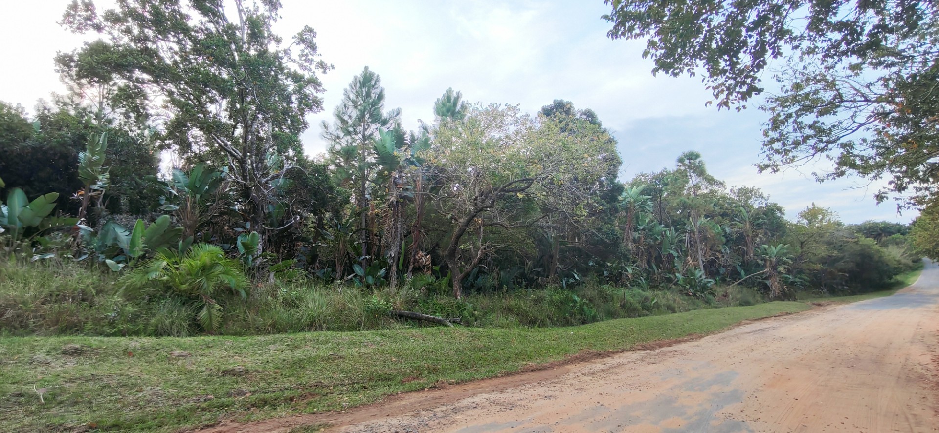 Coastal Land For Sale in Palm Beach, Port Edward, KwaZulu Natal