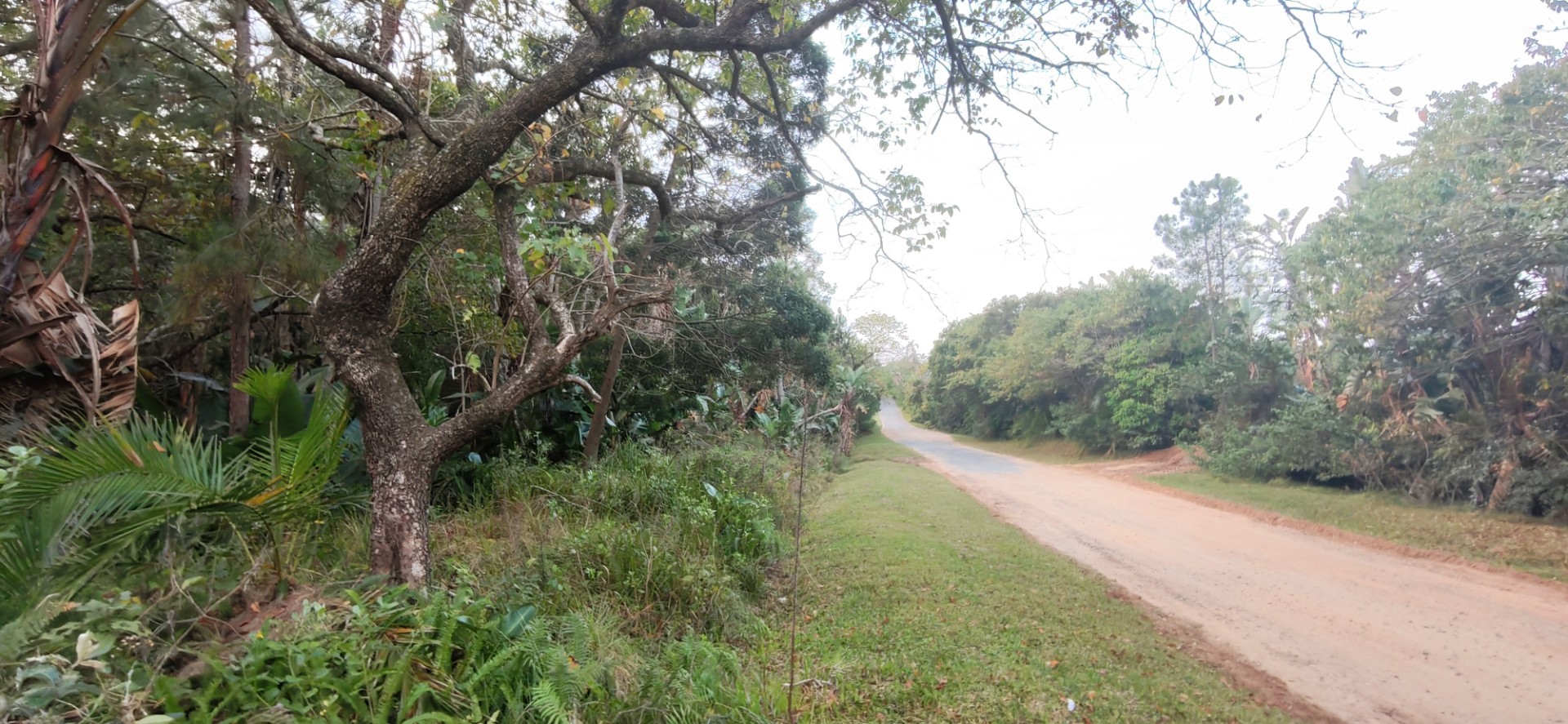 Coastal Land For Sale in Palm Beach, Port Edward, KwaZulu Natal