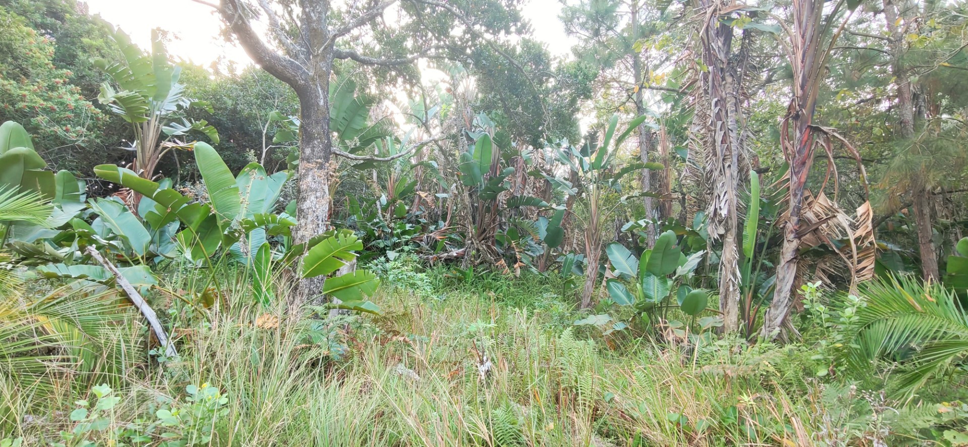Coastal Land For Sale in Palm Beach, Port Edward, KwaZulu Natal
