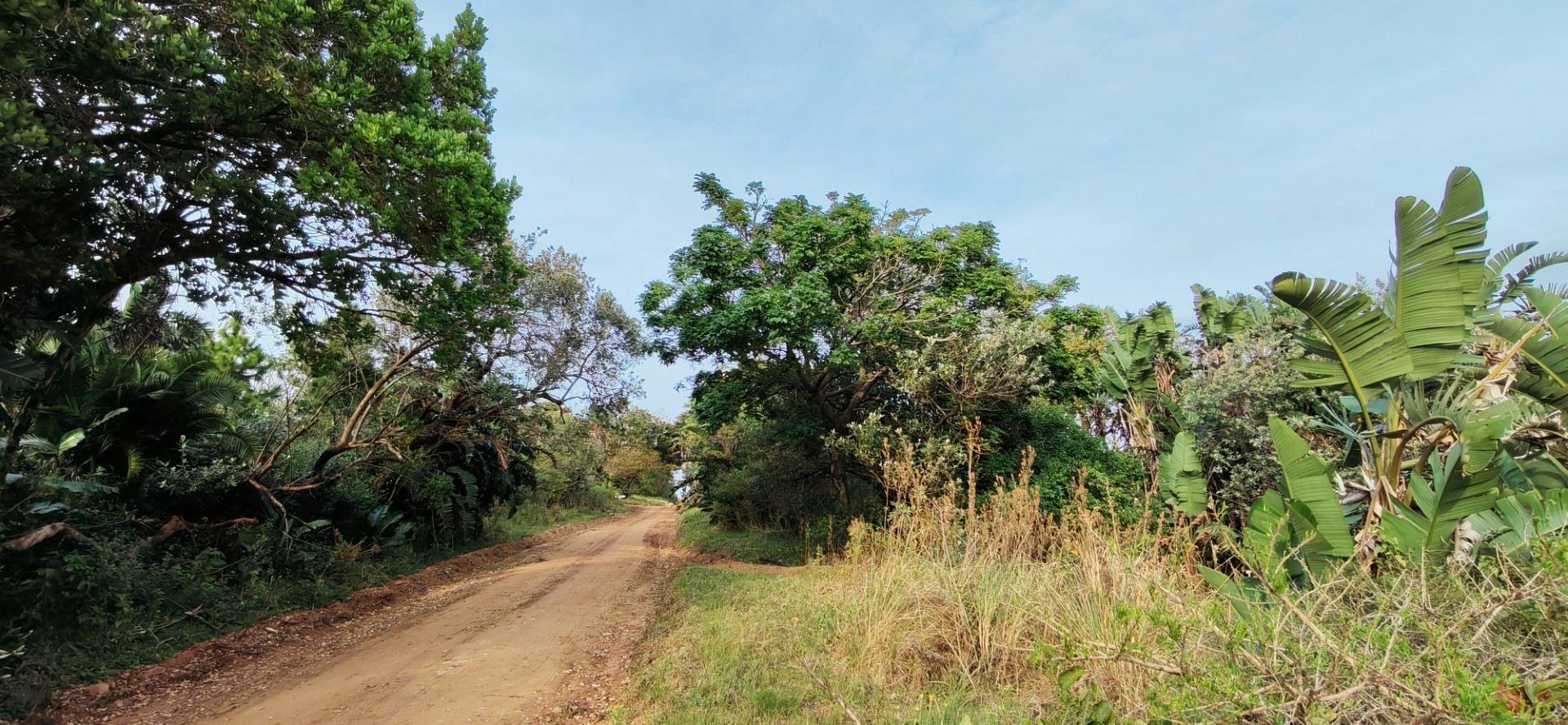 Hilltop Vacant Land with Sea Views For Sale in Palm Beach, Port Edward, KwaZulu Natal