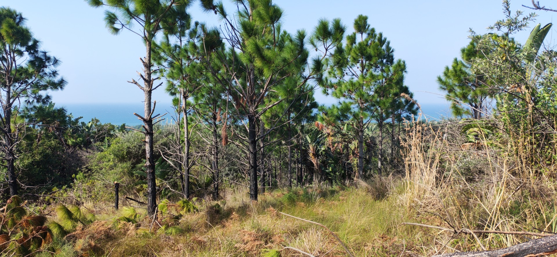 Vacant Land for sale in Palm Beach, Port Edward, KwaZulu Natal, 825 General Hertzog drive, Palm Beach, Port Edward, KwaZulu Natal, 2917 m²