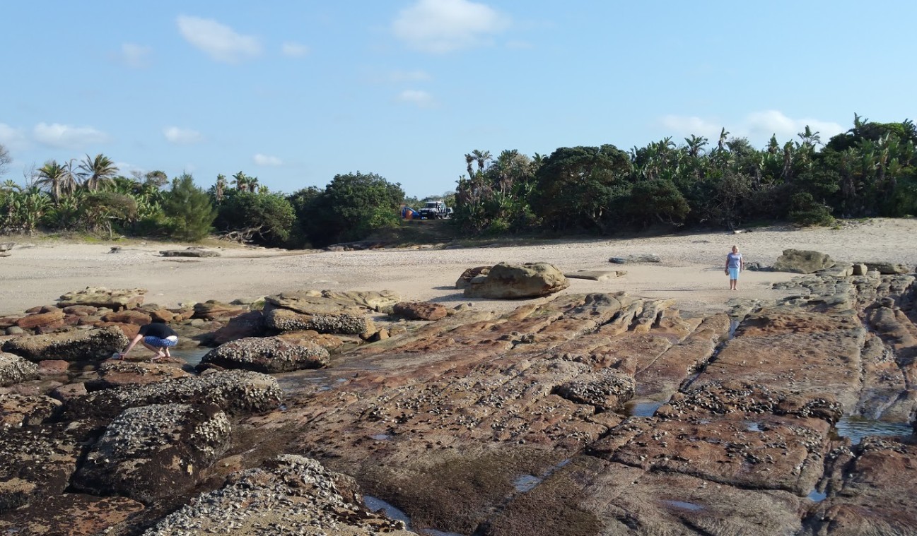 Hilltop Vacant Land with Sea Views For Sale in Palm Beach, Port Edward, KwaZulu Natal