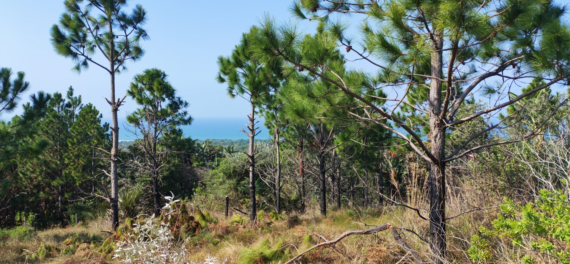Vacant Land for sale in Palm Beach, Port Edward, KwaZulu Natal, 825 General Hertzog drive, Palm Beach, Port Edward, KwaZulu Natal, 2917 m²