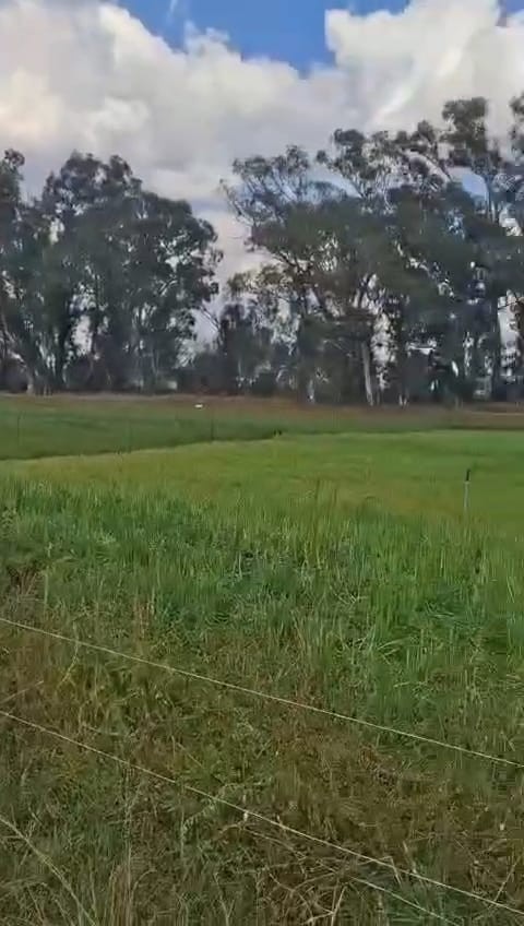 Exceptional 2 House 150 Ha farm for sale.