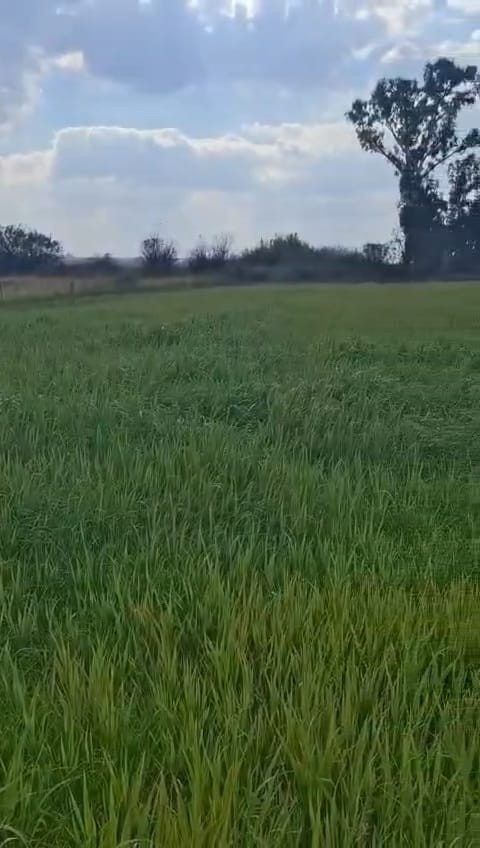 Exceptional 2 House 150 Ha farm for sale.
