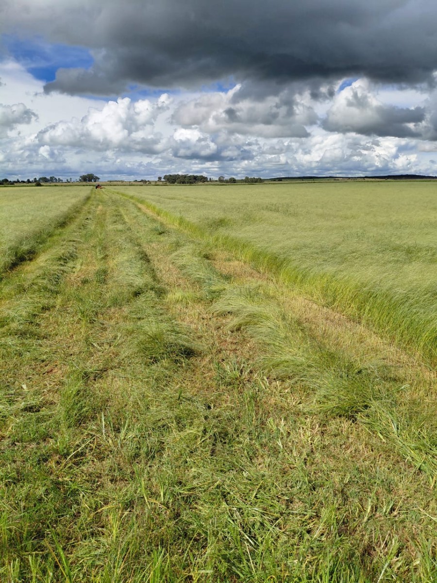 Exceptional 2 House 150 Ha farm for sale.