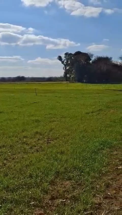Exceptional 2 House 150 Ha farm for sale.